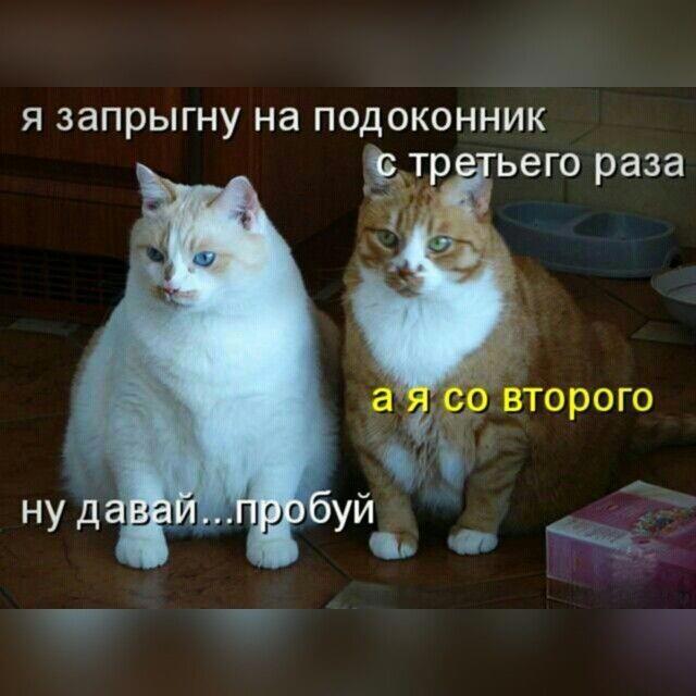 https://upforme.ru/uploads/0009/61/87/229/366088.jpg