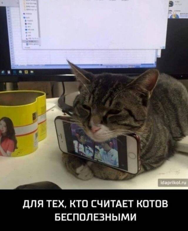 https://upforme.ru/uploads/0009/61/87/229/369134.jpg
