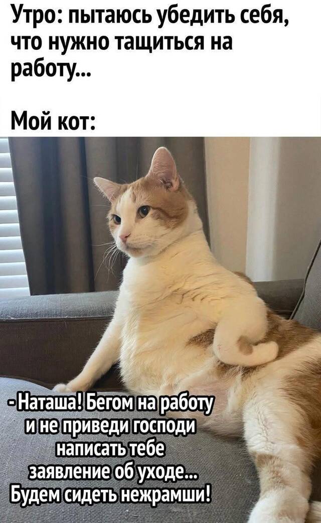 https://upforme.ru/uploads/0009/61/87/229/375224.jpg