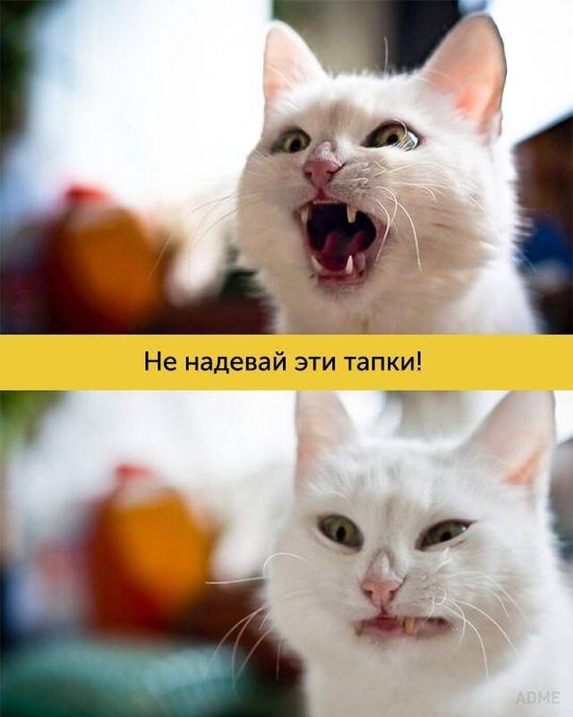https://upforme.ru/uploads/0009/61/87/229/37996.jpg