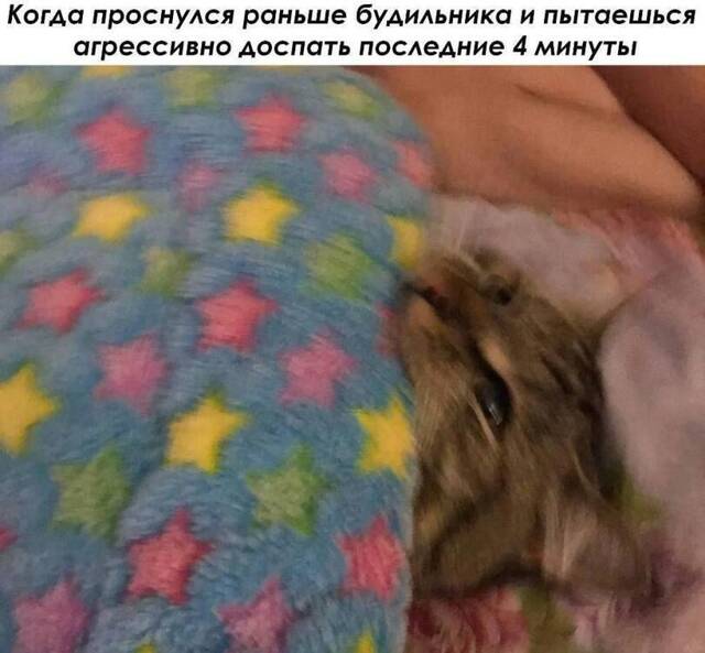 https://upforme.ru/uploads/0009/61/87/229/380962.jpg