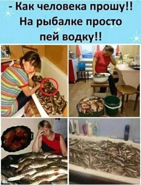 https://upforme.ru/uploads/0009/61/87/229/381213.jpg