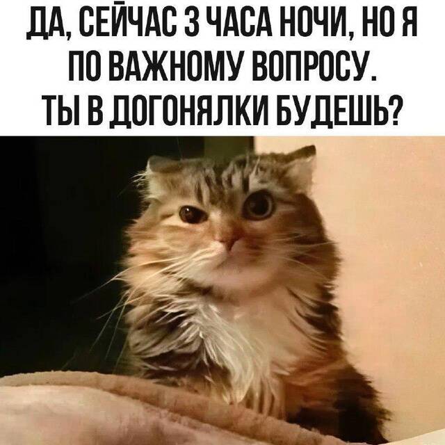 https://upforme.ru/uploads/0009/61/87/229/391388.jpg