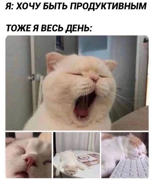 https://upforme.ru/uploads/0009/61/87/229/393058.jpg