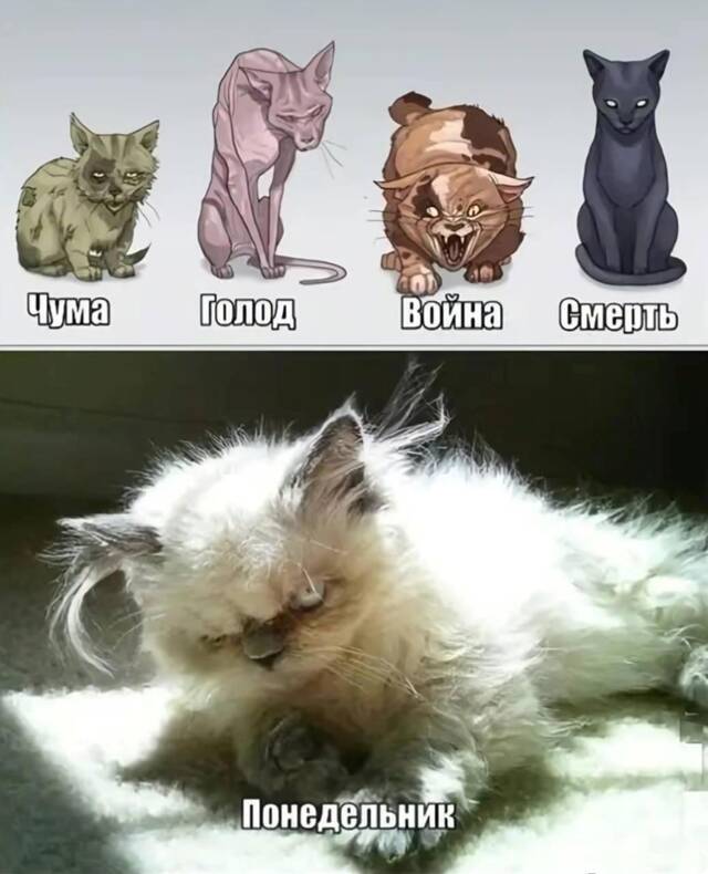 https://upforme.ru/uploads/0009/61/87/229/394255.jpg