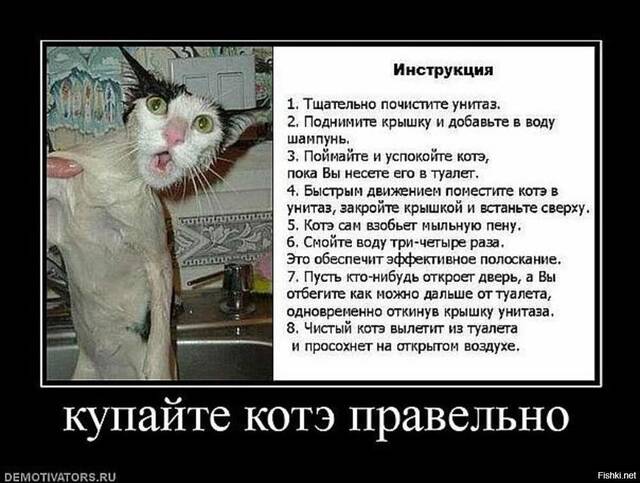 https://upforme.ru/uploads/0009/61/87/229/404430.jpg