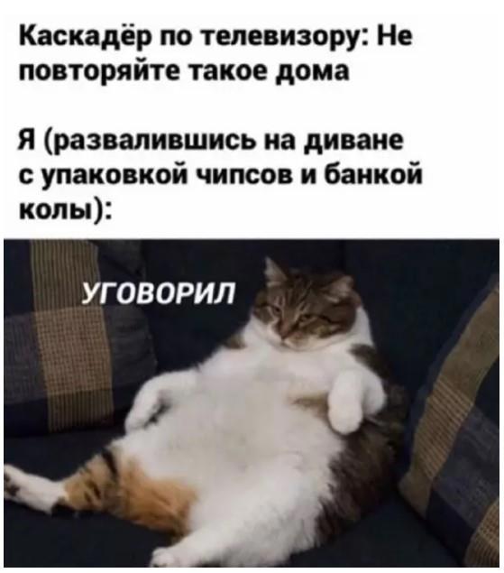 https://upforme.ru/uploads/0009/61/87/229/41287.jpg