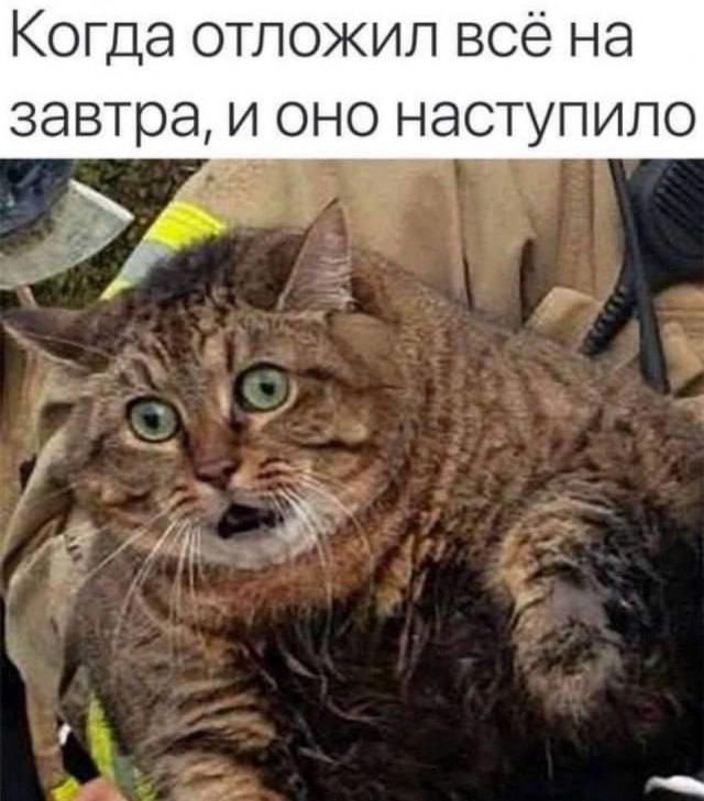 https://upforme.ru/uploads/0009/61/87/229/424226.jpg