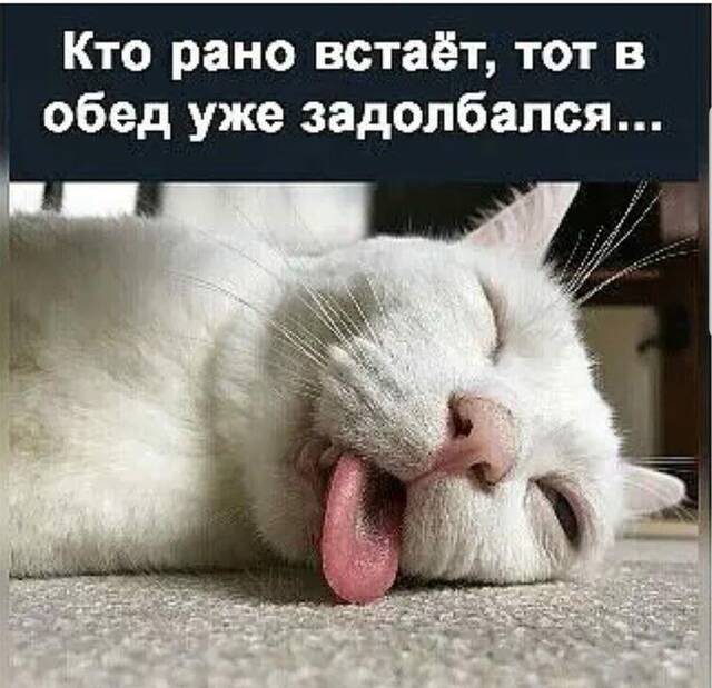 https://upforme.ru/uploads/0009/61/87/229/43106.jpg