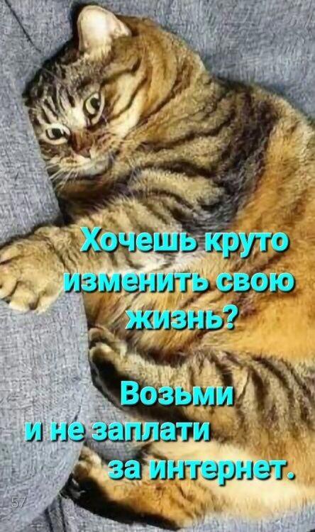 https://upforme.ru/uploads/0009/61/87/229/449667.jpg