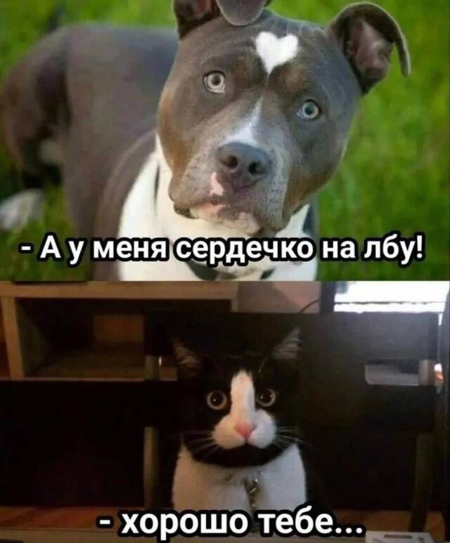https://upforme.ru/uploads/0009/61/87/229/474823.jpg