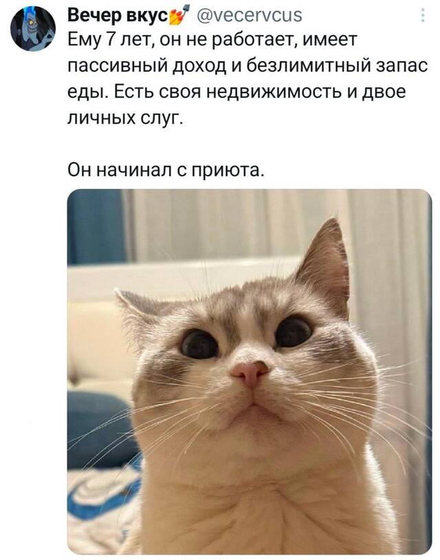 https://upforme.ru/uploads/0009/61/87/229/475698.jpg