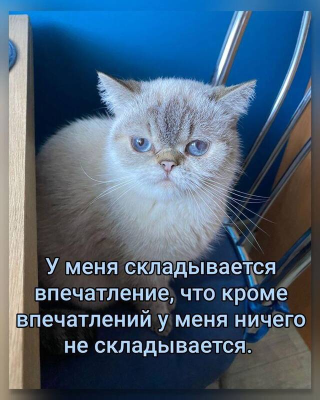 https://upforme.ru/uploads/0009/61/87/229/478710.jpg