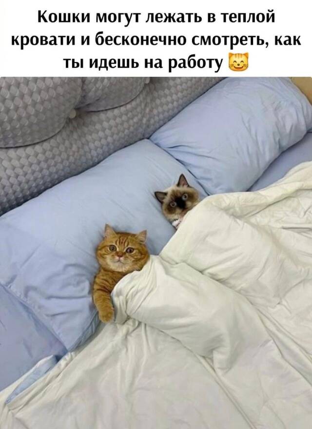 https://upforme.ru/uploads/0009/61/87/229/488459.jpg