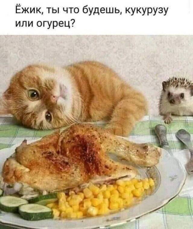 https://upforme.ru/uploads/0009/61/87/229/491400.jpg