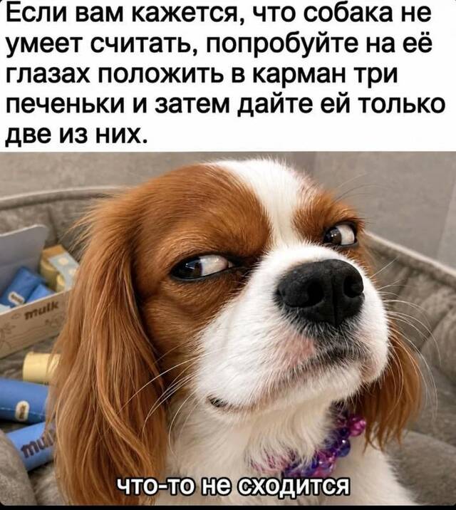 https://upforme.ru/uploads/0009/61/87/229/495113.jpg