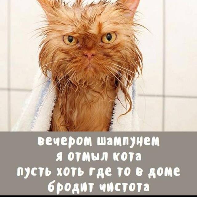 https://upforme.ru/uploads/0009/61/87/229/499022.jpg