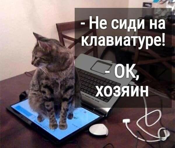 https://upforme.ru/uploads/0009/61/87/229/507968.jpg