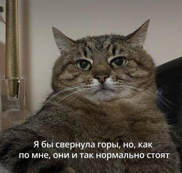 https://upforme.ru/uploads/0009/61/87/229/510498.jpg
