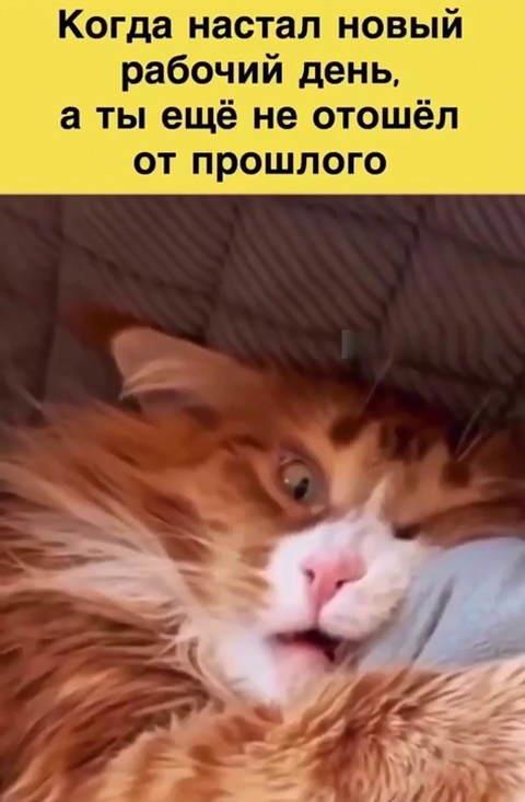 https://upforme.ru/uploads/0009/61/87/229/51648.jpg