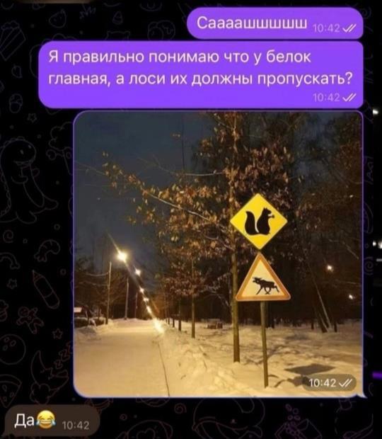 https://upforme.ru/uploads/0009/61/87/229/53677.jpg