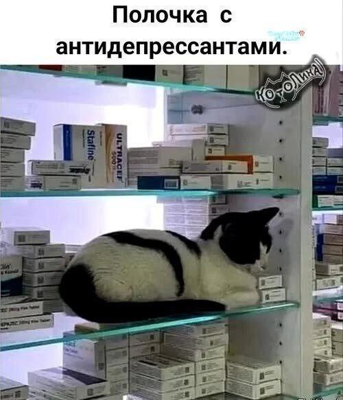 https://upforme.ru/uploads/0009/61/87/229/55027.jpg