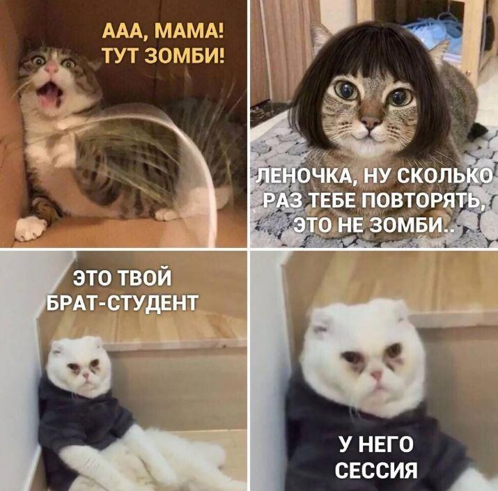 https://upforme.ru/uploads/0009/61/87/229/56833.jpg