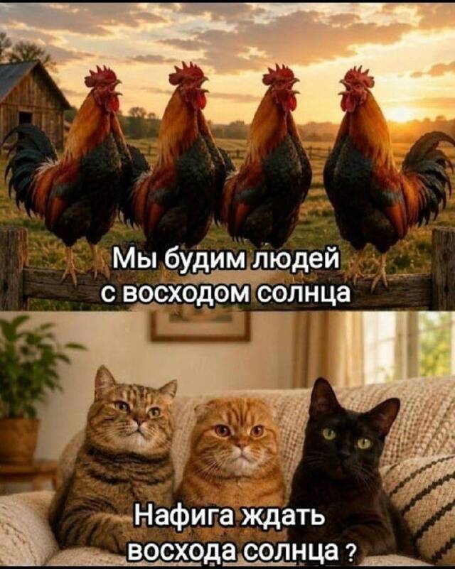 https://upforme.ru/uploads/0009/61/87/229/58568.jpg