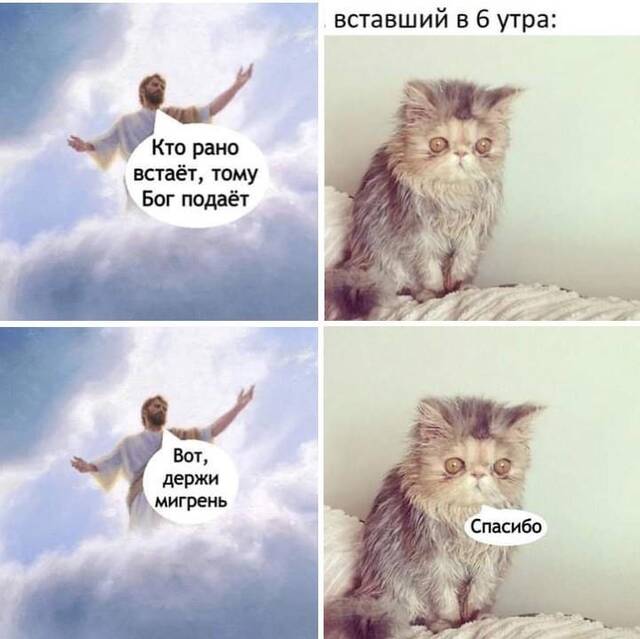https://upforme.ru/uploads/0009/61/87/229/58629.jpg