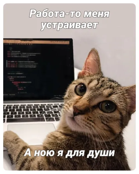 https://upforme.ru/uploads/0009/61/87/229/588809.webp