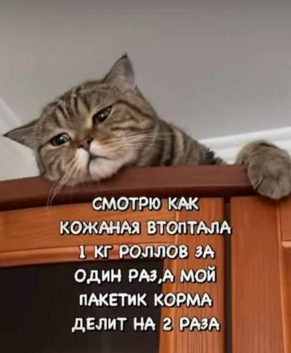 https://upforme.ru/uploads/0009/61/87/229/59166.png