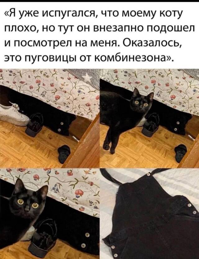 https://upforme.ru/uploads/0009/61/87/229/593862.jpg