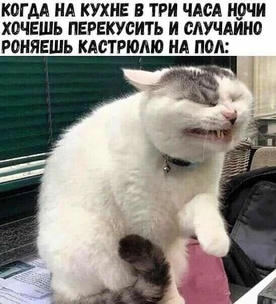 https://upforme.ru/uploads/0009/61/87/229/596284.jpg