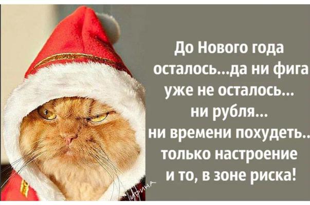 https://upforme.ru/uploads/0009/61/87/229/612744.jpg