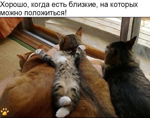 https://upforme.ru/uploads/0009/61/87/229/618222.jpg