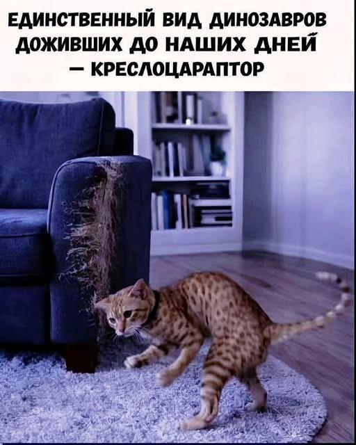 https://upforme.ru/uploads/0009/61/87/229/619750.jpg