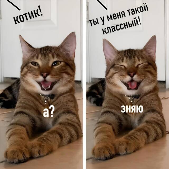 https://upforme.ru/uploads/0009/61/87/229/624821.jpg