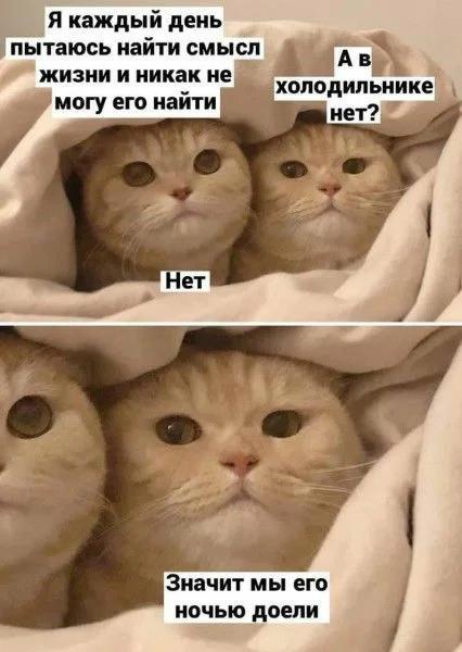 https://upforme.ru/uploads/0009/61/87/229/629651.jpg