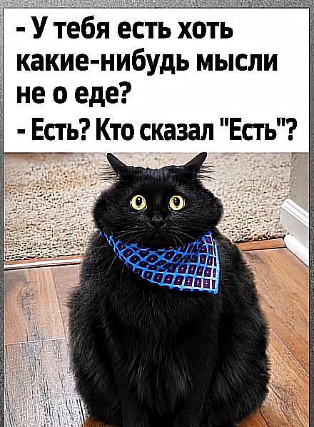 https://upforme.ru/uploads/0009/61/87/229/630409.jpg
