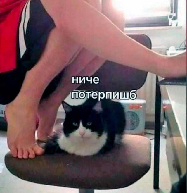 https://upforme.ru/uploads/0009/61/87/229/633915.jpg