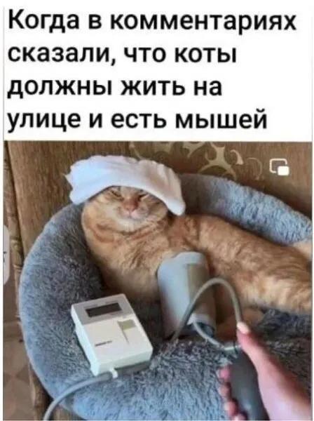 https://upforme.ru/uploads/0009/61/87/229/642065.jpg