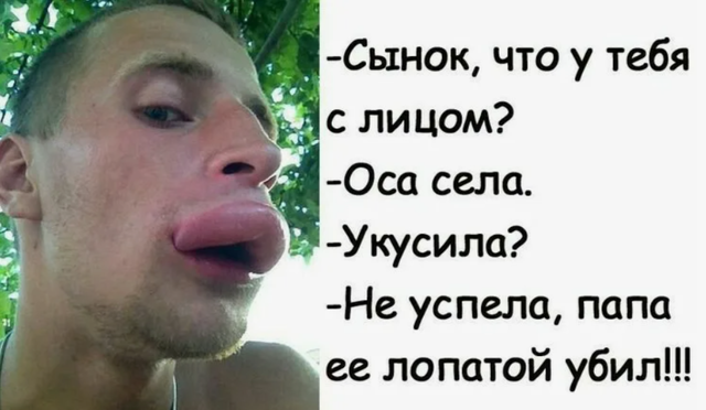 https://upforme.ru/uploads/0009/61/87/229/648093.png