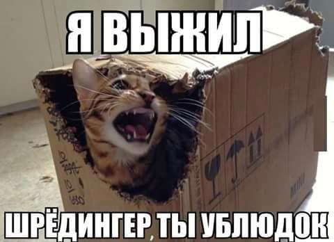 https://upforme.ru/uploads/0009/61/87/229/660273.jpg
