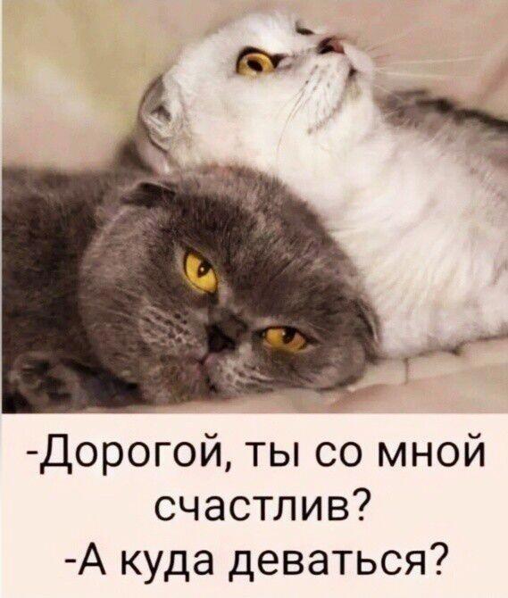 https://upforme.ru/uploads/0009/61/87/229/661571.jpg