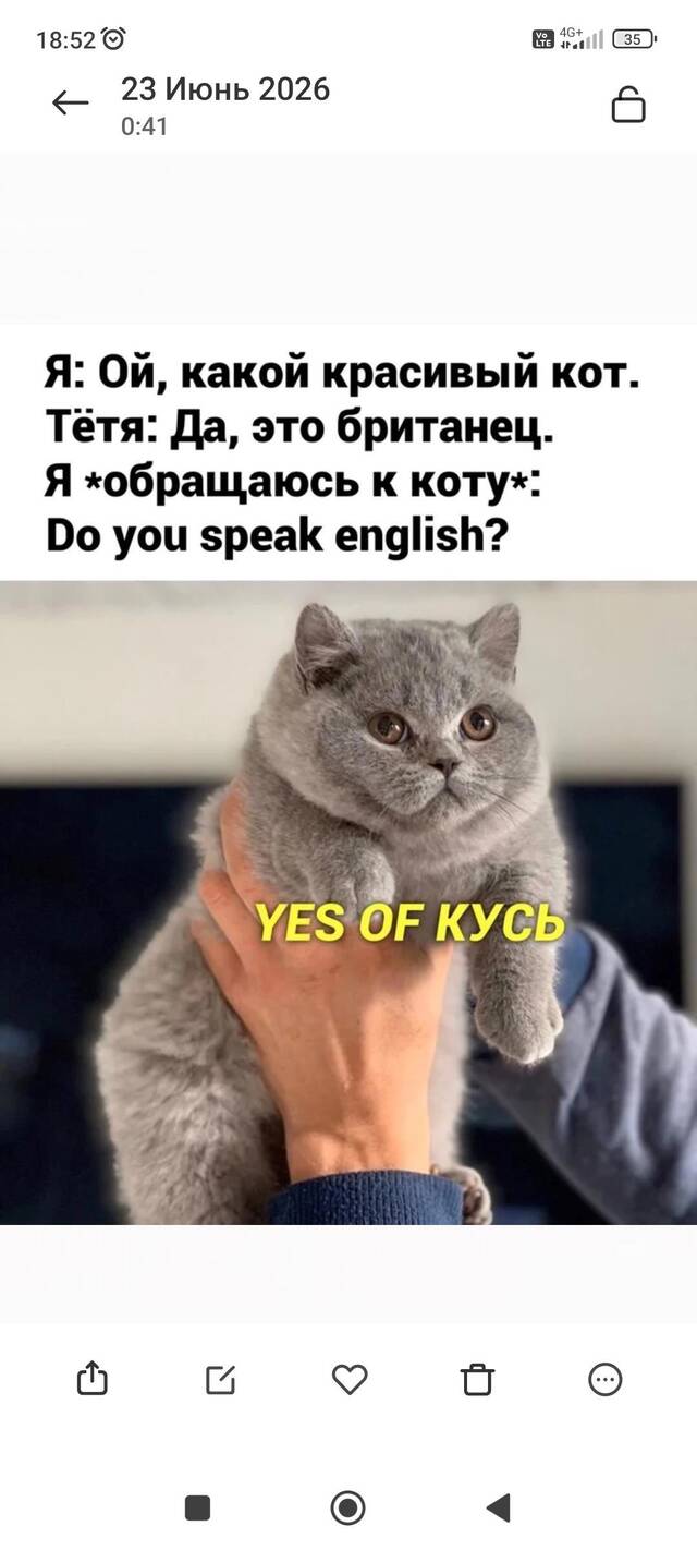 https://upforme.ru/uploads/0009/61/87/229/668258.jpg