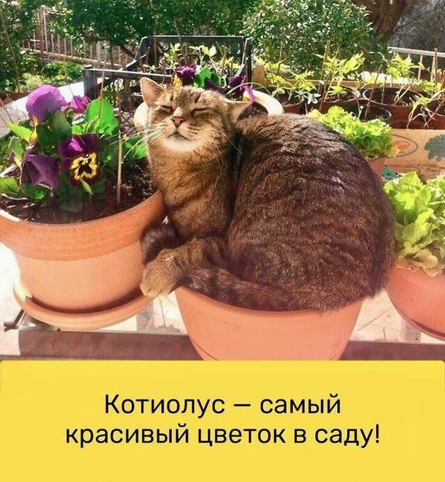 https://upforme.ru/uploads/0009/61/87/229/68158.jpg