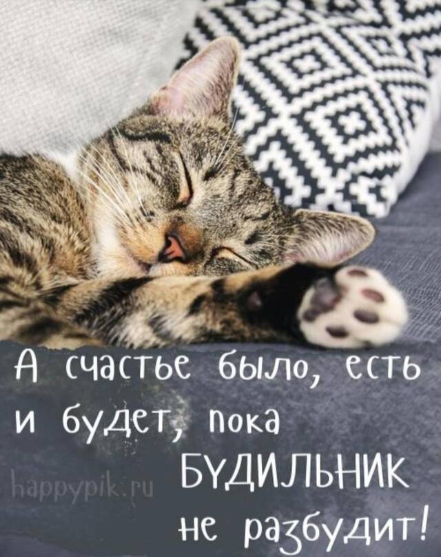https://upforme.ru/uploads/0009/61/87/229/682275.jpg