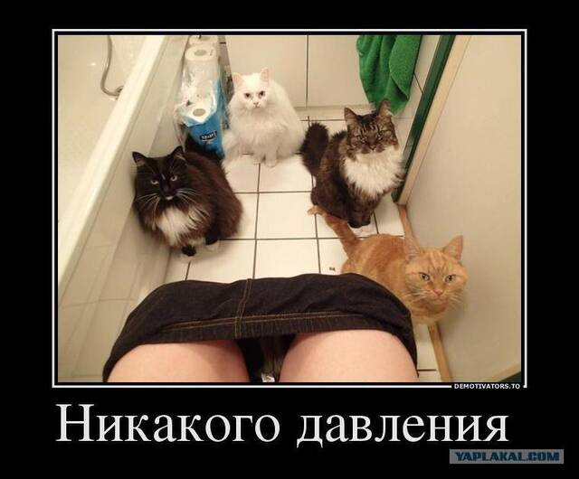 https://upforme.ru/uploads/0009/61/87/229/683032.jpg