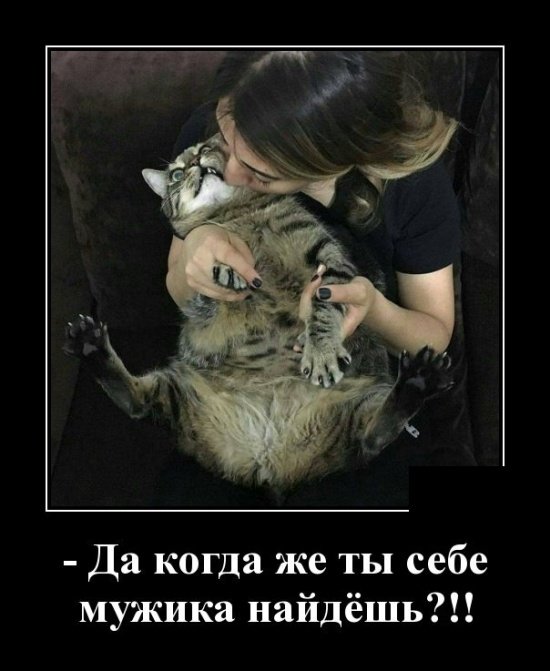 https://upforme.ru/uploads/0009/61/87/229/683502.jpg