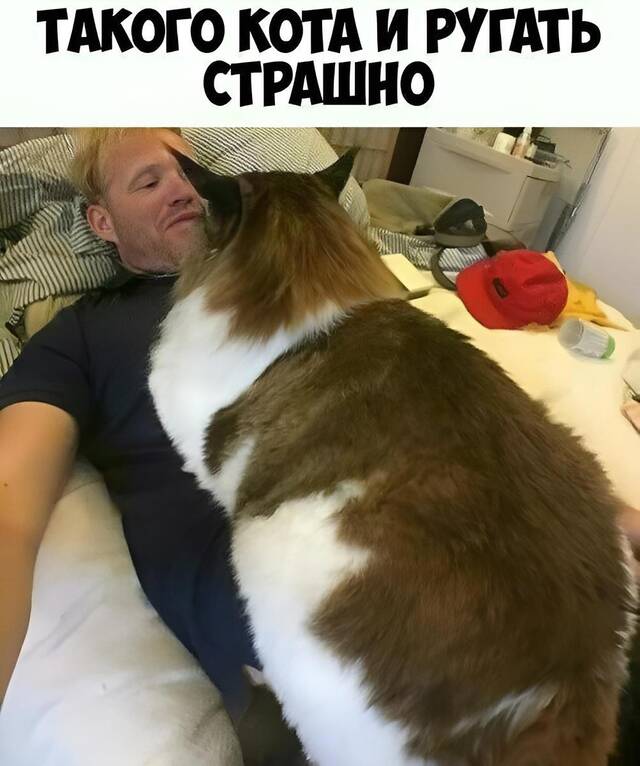 https://upforme.ru/uploads/0009/61/87/229/690243.jpg